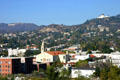 View of Hollywood sign & Griffith Park Observatory from Barnsdall Park. Los Angeles, CA.