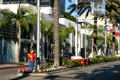Streetscape up Via Rodeo with palms & flowers. Beverly Hills, CA.
