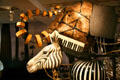 Elephant & zebra of bun steamers, keyboards, vent, & car mat at Noah's Ark of Skirball Cultural Center. Los Angeles, CA.