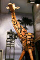 Giraffe at Noah's Ark of Skirball Cultural Center. Los Angeles, CA.