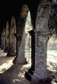 Sunlight streaming through cloister pillars of Mission San Juan Capistrano. Capistrano, CA.