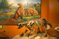Cast of Harlan's Ground Sloth of original from La Brea tar pits at San Diego Museum of Natural History. CA.