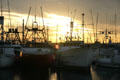 Tuna boats at sunset. San Diego, CA.