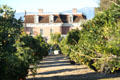 Heritage building over orange trees near San Bernardino Asistencia. Redlands, CA.