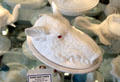 Glass tureen in shape of boats head with red eyes at Historical Glass Museum. Redlands, CA.