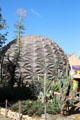 Geodesic dome over cactus garden at San Bernardino County Museum. Redlands, CA.