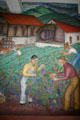 Harvesting grapes mural by Maxine Albro in Coit Tower. San Francisco, CA.