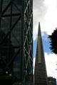 One Maritime Plaza & Transamerica Pyramid. San Francisco, CA.