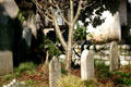 Mission Dolores cemetery tombstones. San Francisco, CA.