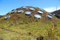 Living roof with round skylights atop California Academy of Science. San Francisco, CA.