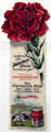 Bookmark used by Carnation Milk co. for Panama-Pacific International Exposition in private collection. San Francisco, CA.