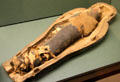 Corn mummy with corn seeds at Rosicrucian Egyptian Museum. San Jose, CA.