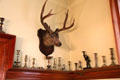 Candlestick parlor with deer's head at Pardee Home Museum. Oakland, CA.