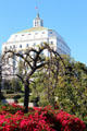 Garden at Oakland Museum of California with Alameda County Courthouse beyond. Oakland, CA.