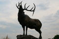 Sound of Autumn sculpture of bull elk by Gerald Balciar at Leanin' Tree Museum. Boulder, CO.