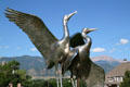 Whooping Cranes Rights of Spring sculpture by Kent Ullberg against Rocky Mountains near Colorado Springs Fine Arts Center. Colorado Springs, CO.