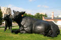 Scottish Angus Cow & Calf by Dan Ostermiller outside Denver Art Museum. Denver, CO.