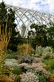 Boettcher Conservatory looms over cacti at Denver Botanic Gardens. Denver, CO.