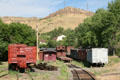 Rail collection at Colorado Railroad Museum. CO.