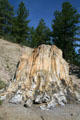 Fossilized giant redwood tree trunk at Florissant Fossil Beds National Monument. CO.