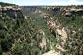 Cliff Canyon along Cliff Palace in Mesa Verde National Park. CO.