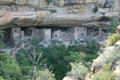 Spruce Tree House in Mesa Verde National Park. CO.