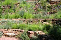 Gardens at Miramont Castle. Manitou Springs, CO.