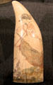 Sperm whale tooth scrimshaw with woman on horseback at Mystic Seaport art museum. Mystic, CT.