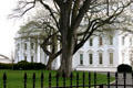 White House. Washington, DC.