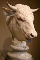 Head of a Bull marble sculpture by Gaetano Monti at National Gallery of Art. Washington, DC.