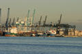 Cranes of port of Miami container docks. Miami, FL.