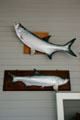 Edison's mounted fish at Seminole Lodge. Fort Myers, FL.