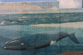Detail of Right Whale mural by Wyland in Underground city. Atlanta, GA.