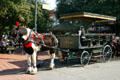 Horse drawn caleches await riders in City Market. Savannah, GA.