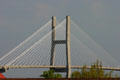 Cables of Talmadge Memorial Bridge. Savannah, GA