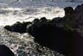 Waves on rocky shore of Turtle Bay at Hawaiian Tropical Botanical Gardens, west of Hilo. Big Island of Hawaii, HI.