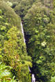 Kahuna Falls near Akaka Falls, west of Hilo. Big Island of Hawaii, HI.