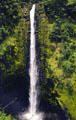 Akaka Falls west of Hilo, tallest in USA. Big Island of Hawaii, HI.