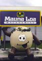 Big nut greeting statue at Mauna Loa Macadamia factory. Big Island of Hawaii, HI.