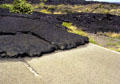 Pu'u Loa road cut by lava in Volcanoes National Park. Big Island of Hawaii, HI.