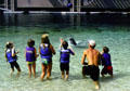 Kids greet dolphins at Hilton Waikoloa Village, Kona coast. Big Island of Hawaii, HI.