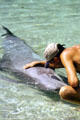 Dolphin with trainer at Hilton Waikoloa Village, Kona coast. Big Island of Hawaii, HI.