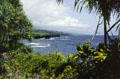 Maui coast from National Tropical Garden at Kahanu. Maui, HI.