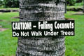 Coconut warning sign at National Tropical Garden in Kahanu. Maui, HI.
