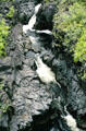 Oheo Gulch Falls off Hana Road in Haleakala National Park. Maui, HI.