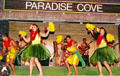 Luau dancers at Paradise Cove. Oahu, HI.