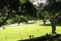 National Memorial Cemetery of the Pacific in Puowaina Crater. Honolulu, HI.