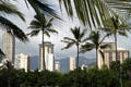 Waikiki highrises seen through palms. Waikiki, HI.