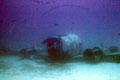 Sunken airplane seen from Atlantis submarine tours. Waikiki, HI.