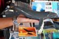 Humpback Whale model shows dorsal hump & blowhole explaining photo of whale in water. Waikiki, HI.